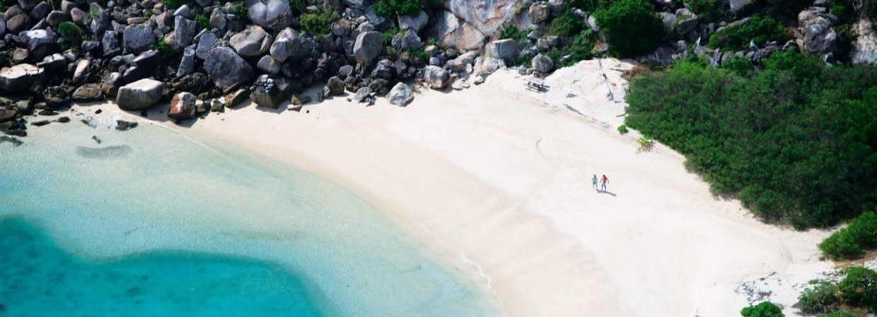 Bu görsel boş bir alt niteliğe sahip; dosya adı lizard1-1240x449.jpg