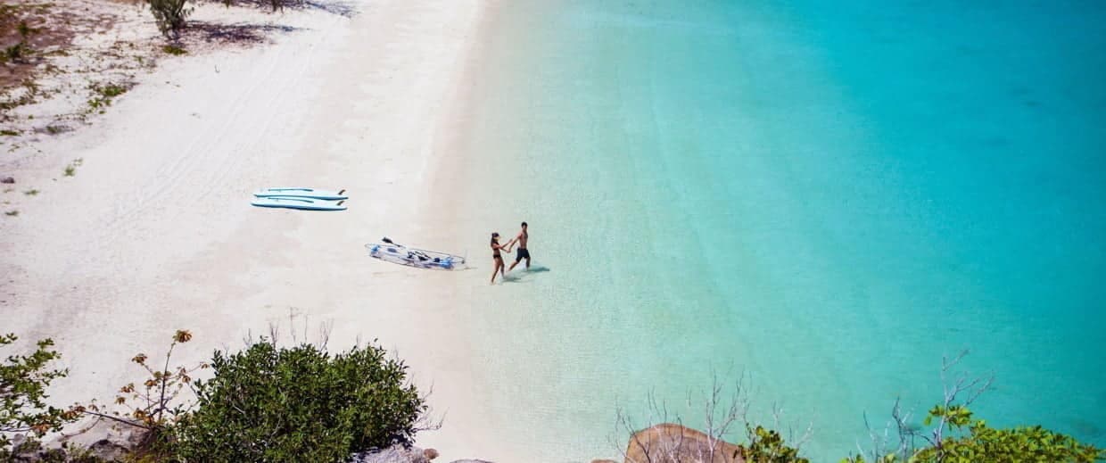 Bu görsel boş bir alt niteliğe sahip; dosya adı lizard3-1240x519.jpg