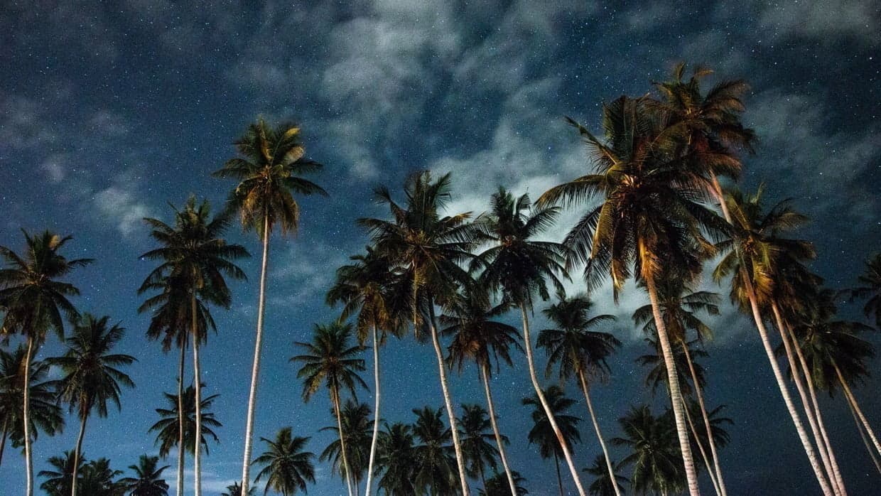 Bu görsel boş bir alt niteliğe sahip; dosya adı sundy3-1240x698.jpg