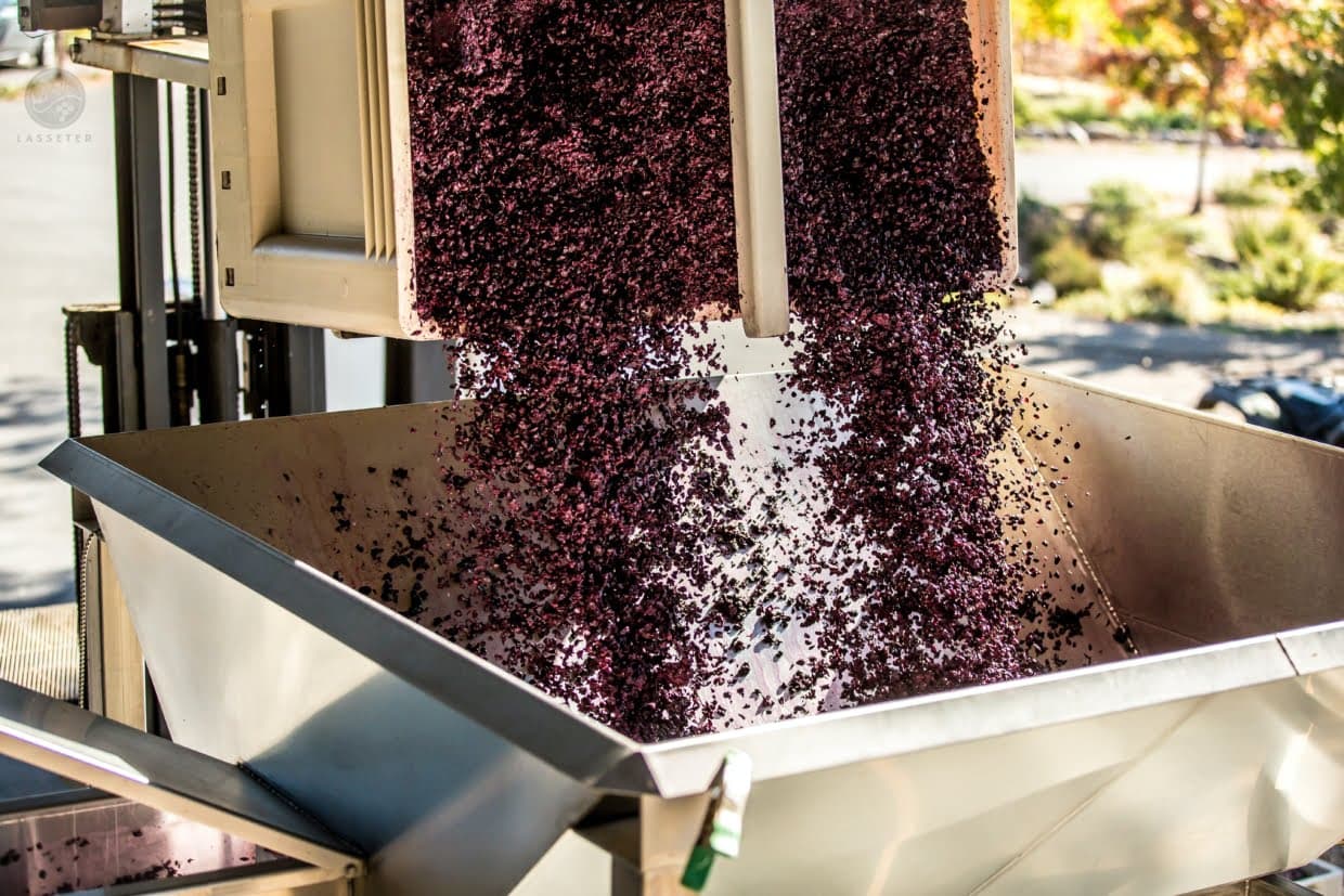 Lasseter Winery2