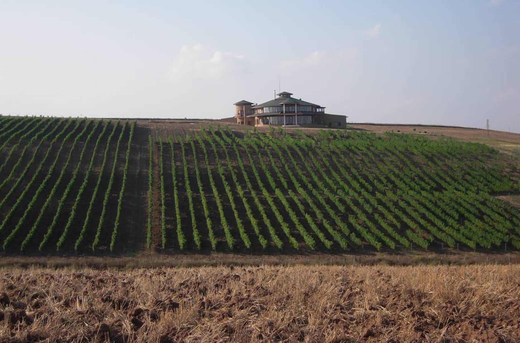 The Journey of a Wine Castle in Tekirdağ with Passion
