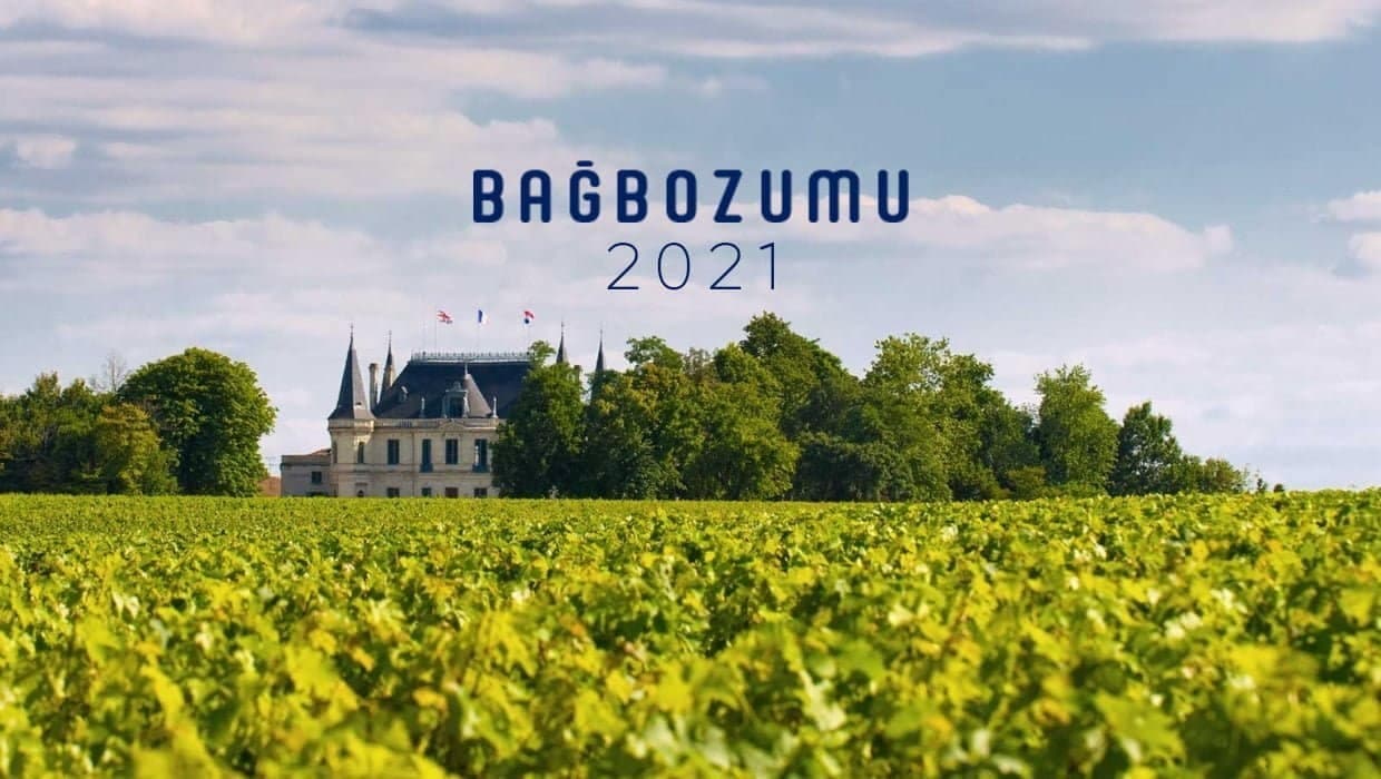 The 2021 Grape Harvest: The Best 50 Wine Vineyard of the Year Rated by Authorities