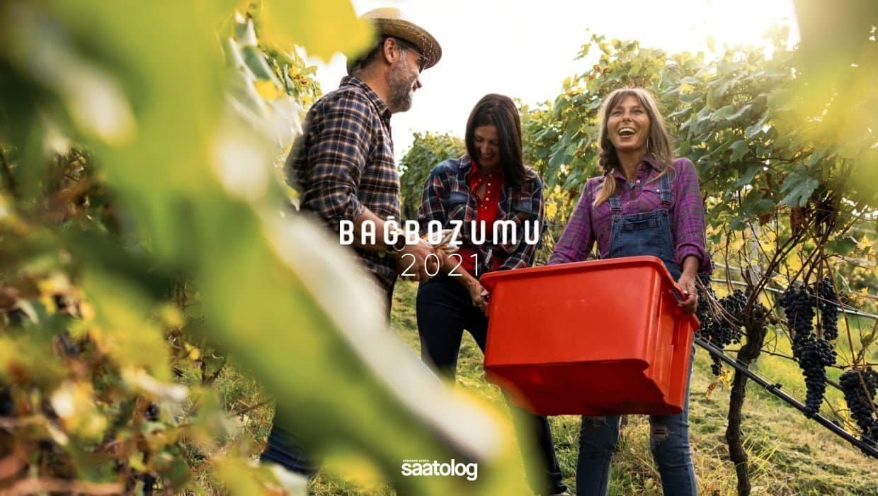 Bağbozumu 2021: En İyi 6 Rota ve Festival Takvimi, Bağbozumu