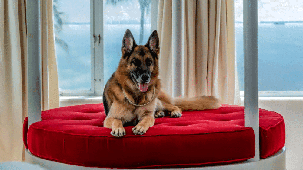 gunther e1637604536773