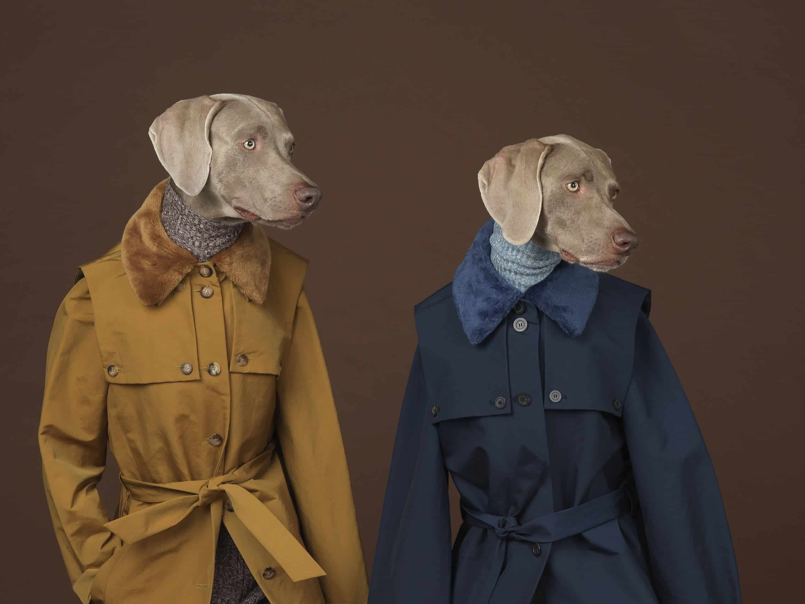 Editor’s Picks from 212 Photography Istanbul