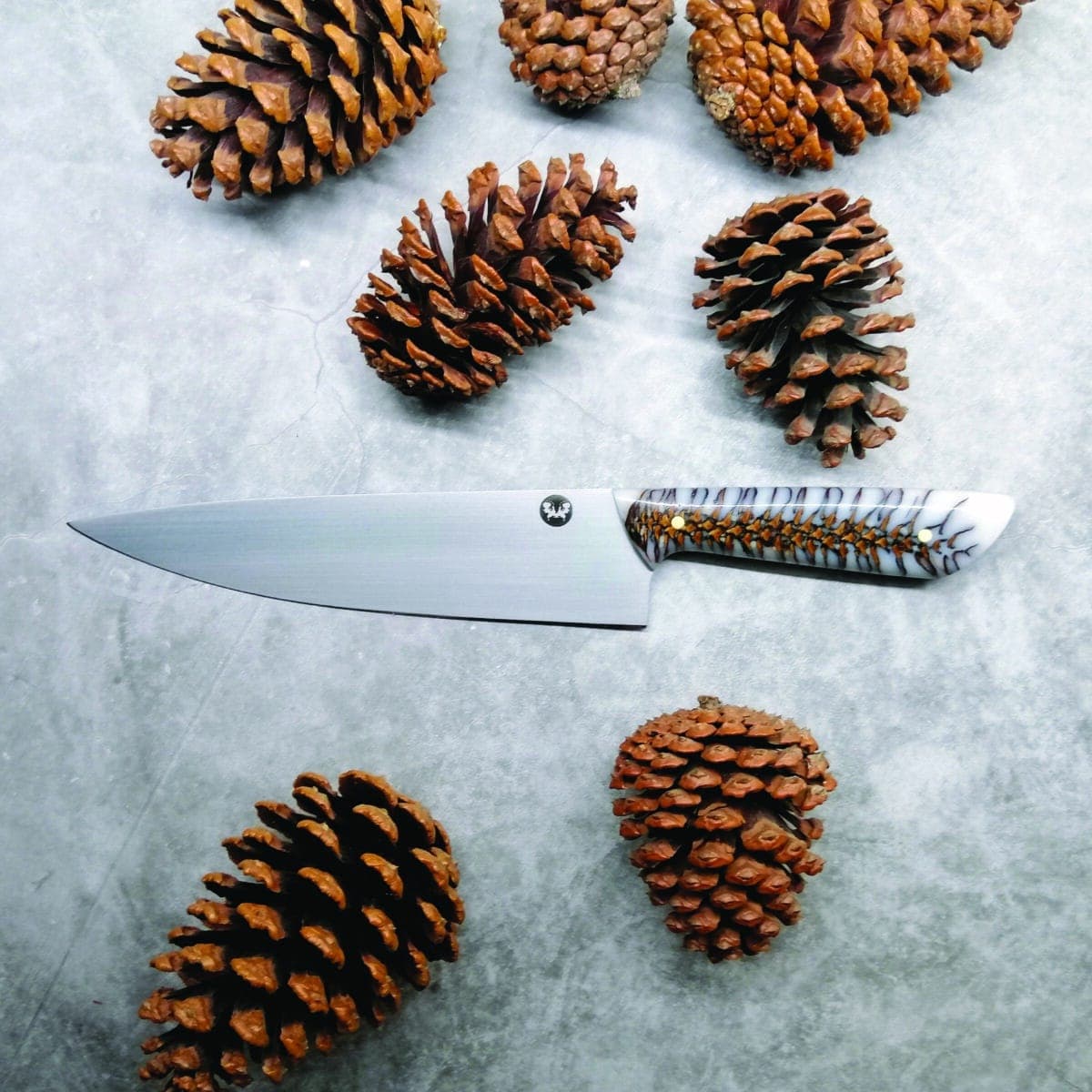 Pinecone Chef 01