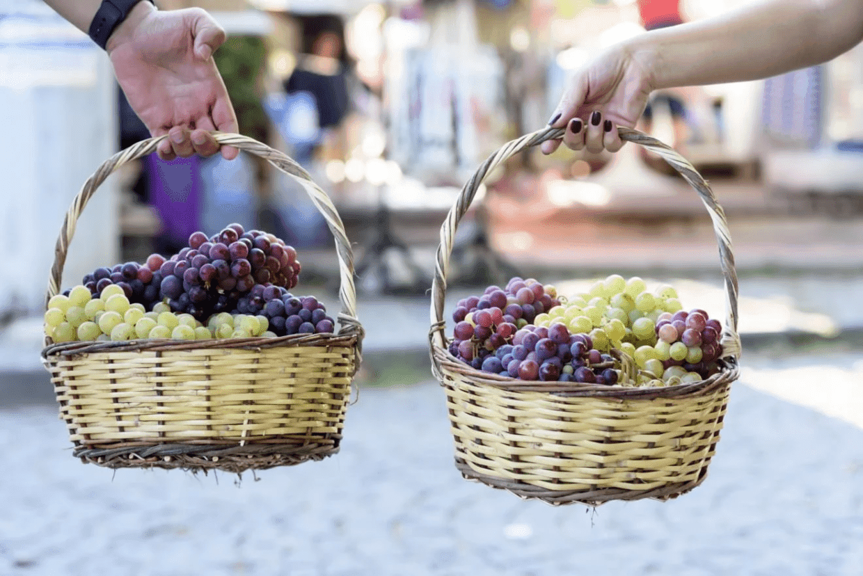 2023 Bağbozumu: Şaraba Dair Notlar