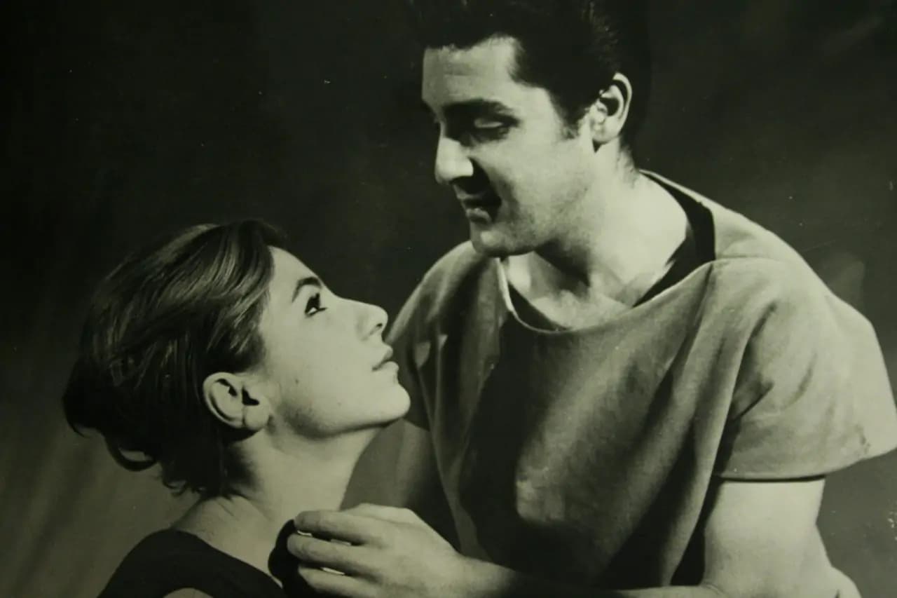 49 AylaBeklan Algan sinekler3  1