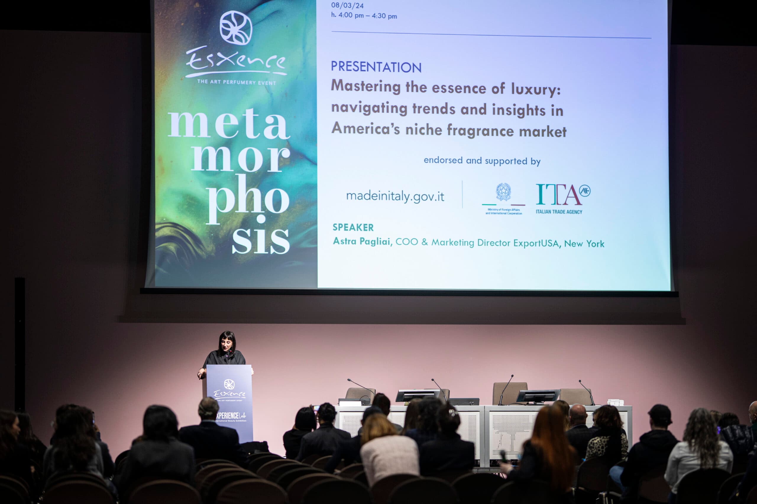 67 conferenza ICE 08 03