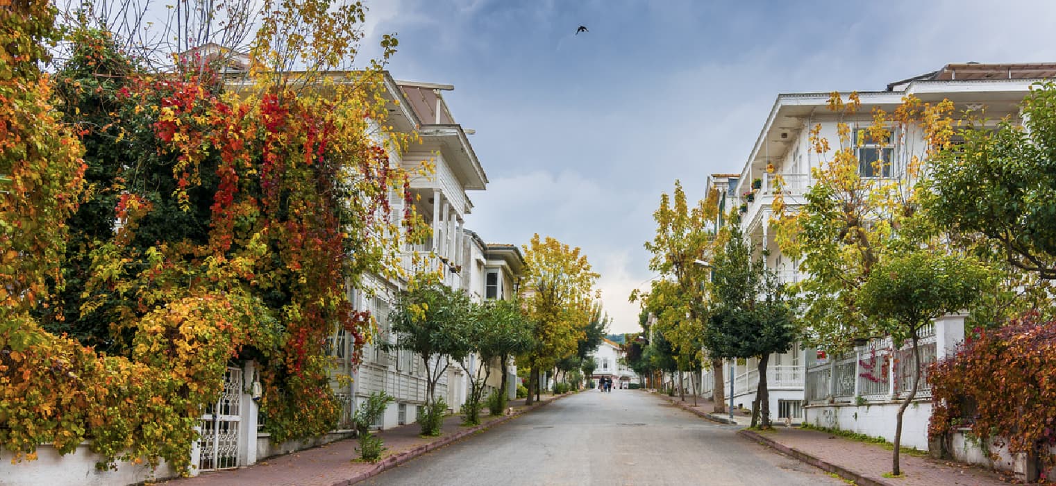 A’dan Z’ye Adalar Rehberi