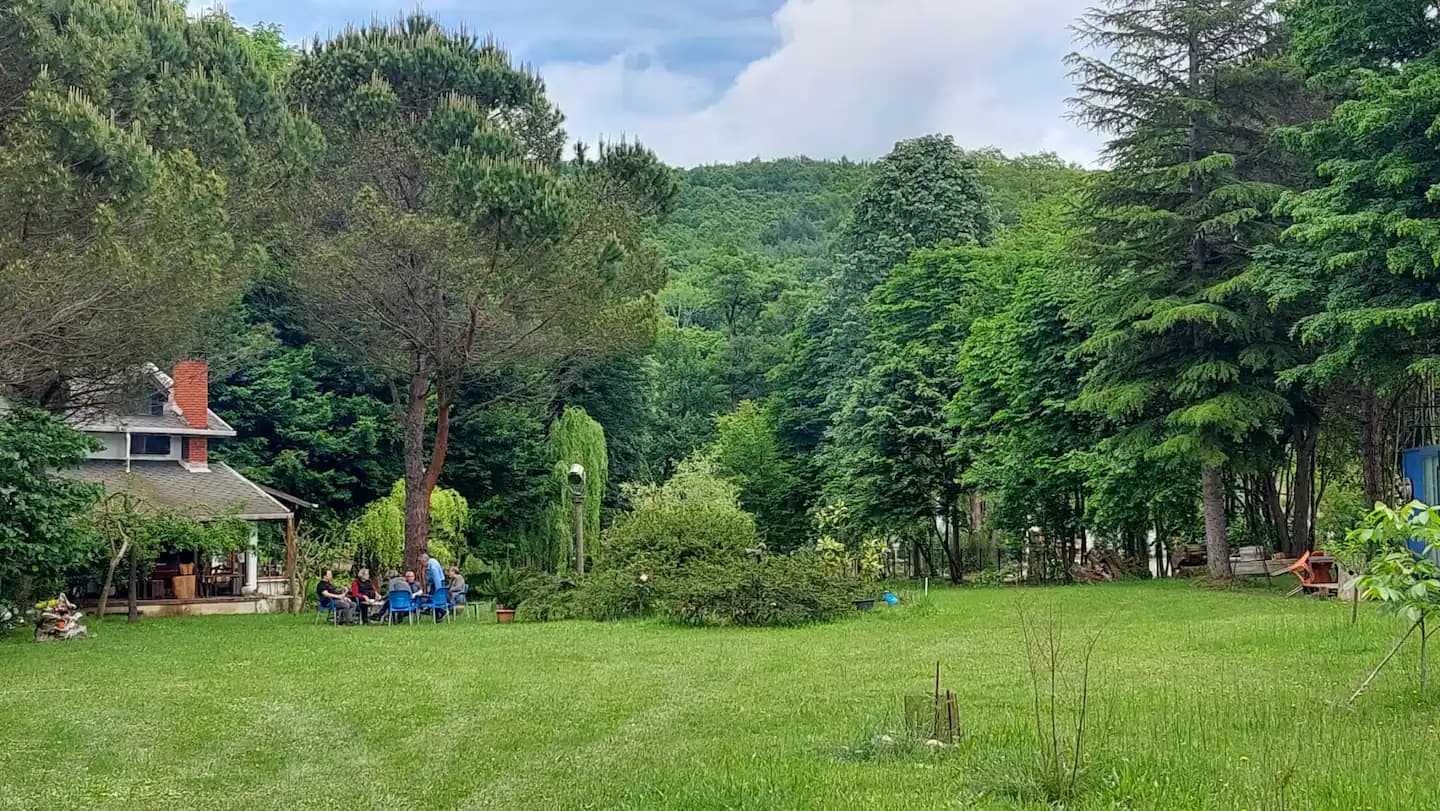 3644ecc0 1c56 40ac a642 60e5316b0de6