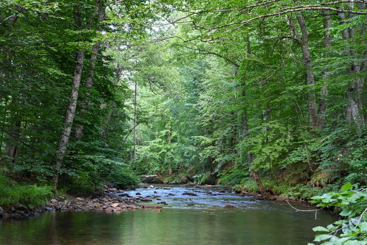 İstanbul'a Yakın Kaçamak Rotaları