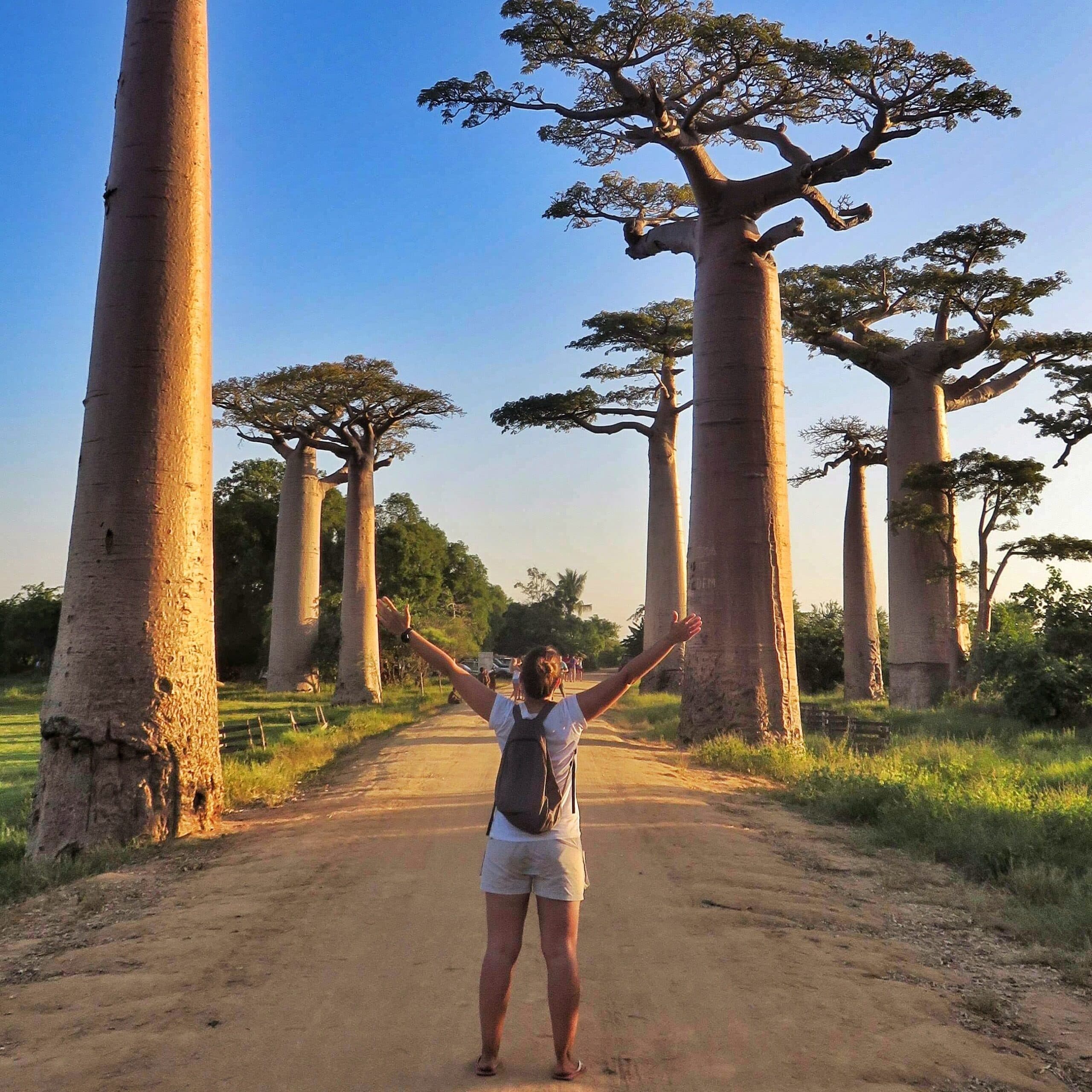 Esra Uğurlu - Baobab Yolu Madagaskar