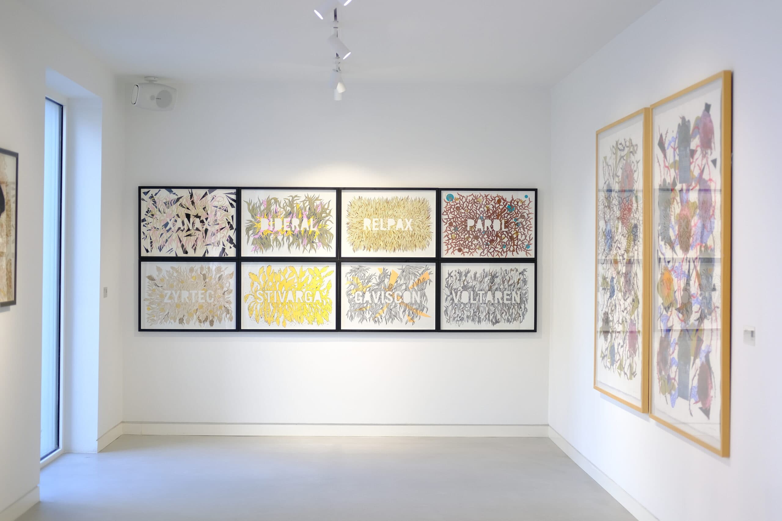 Basak Ozocak Soyagaci Serisi