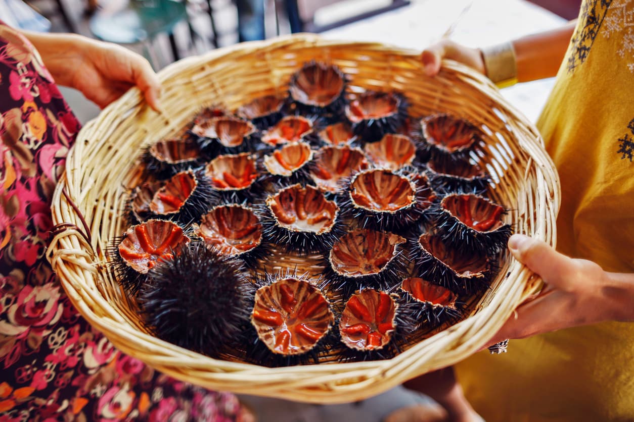 bozcaada gezi rehberi 03