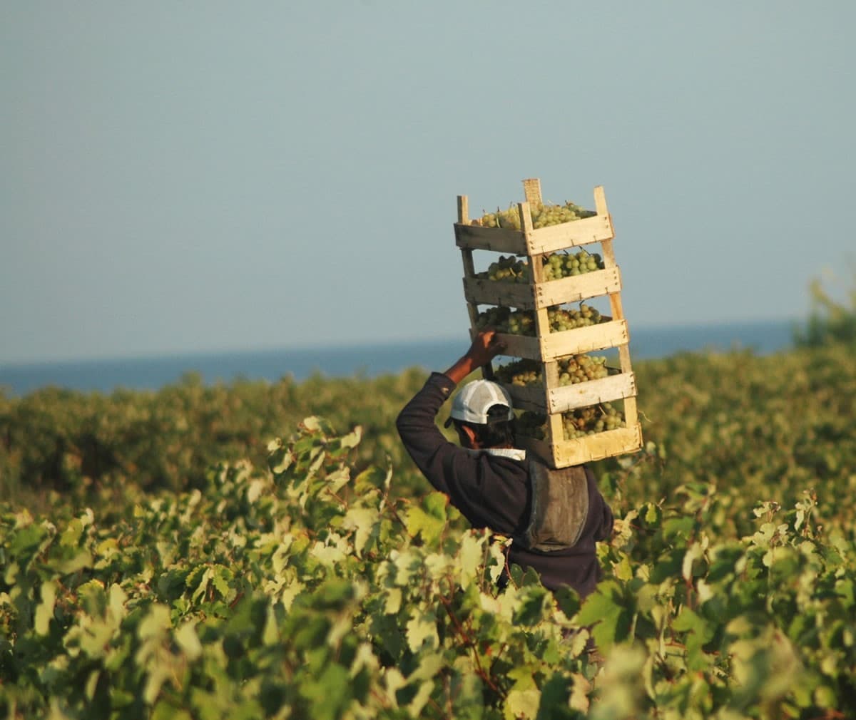 bozcaada gezi rehberi 08