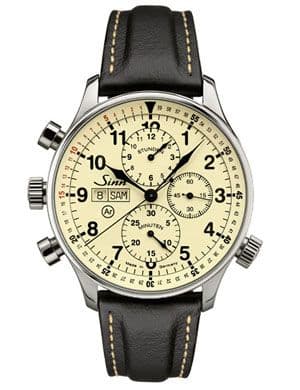 Sinn 917.011
