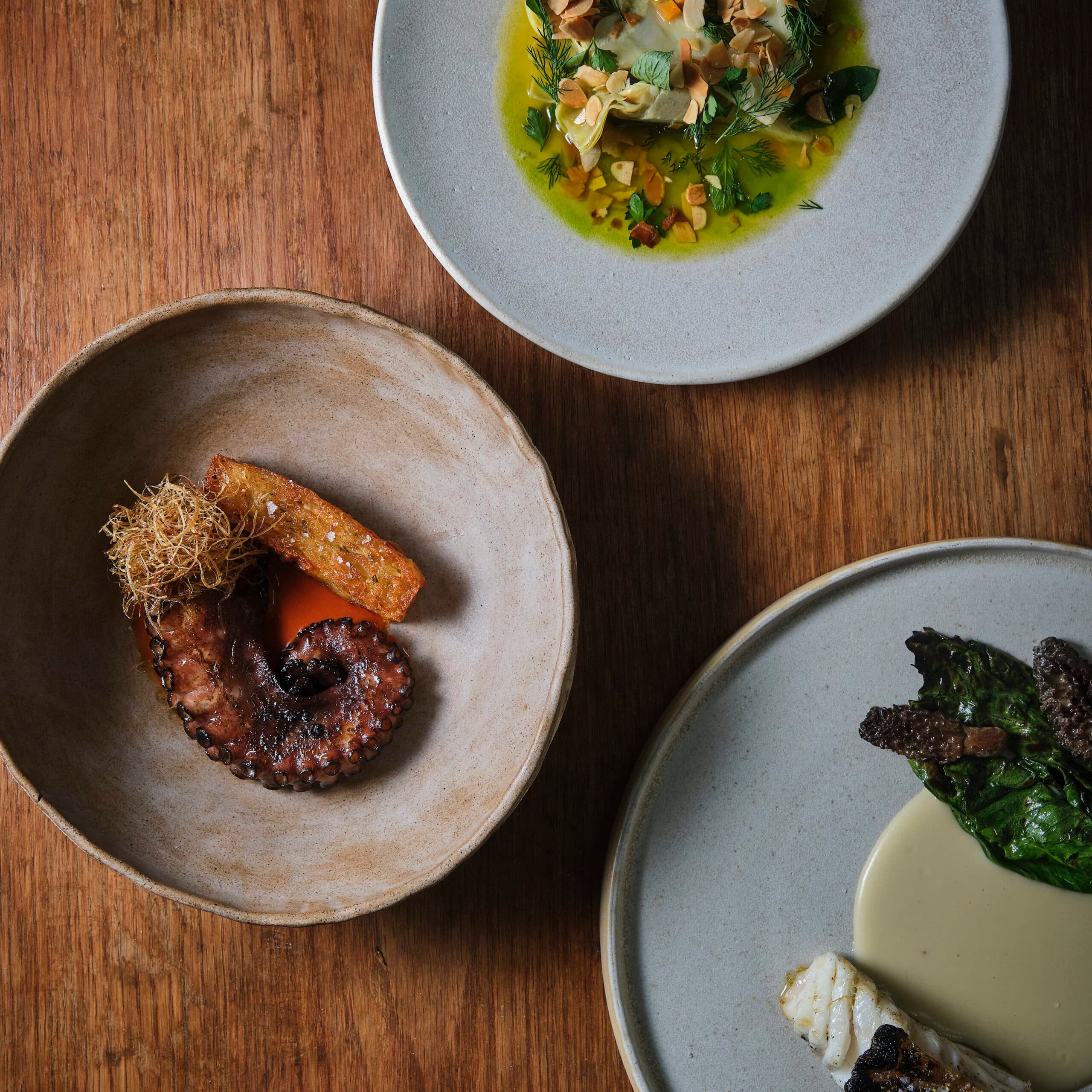 Amavi Ahmet Can Aras