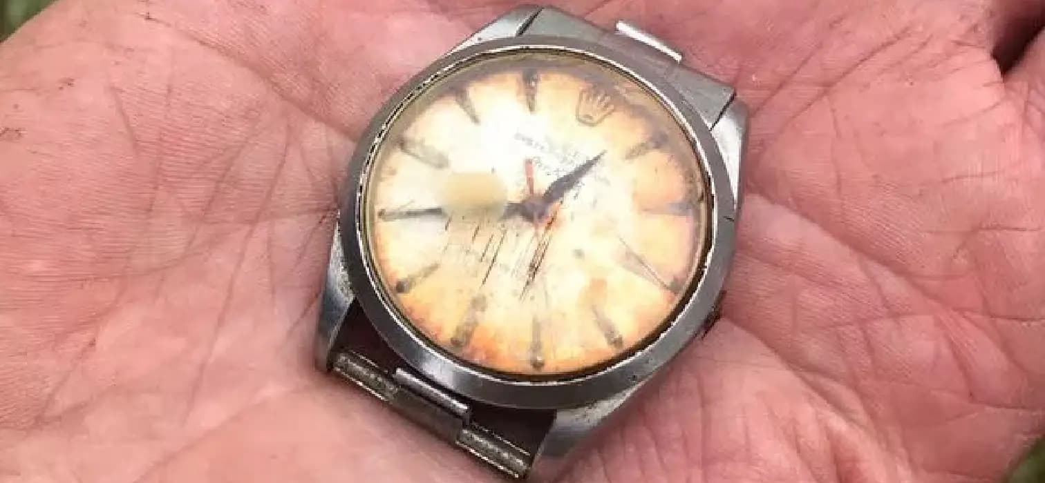 Bir Çiftlikte Kaybolan Rolex’in Hikayesi