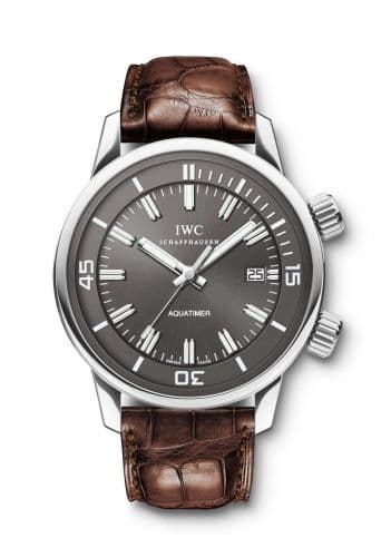 IWC IW3231-04