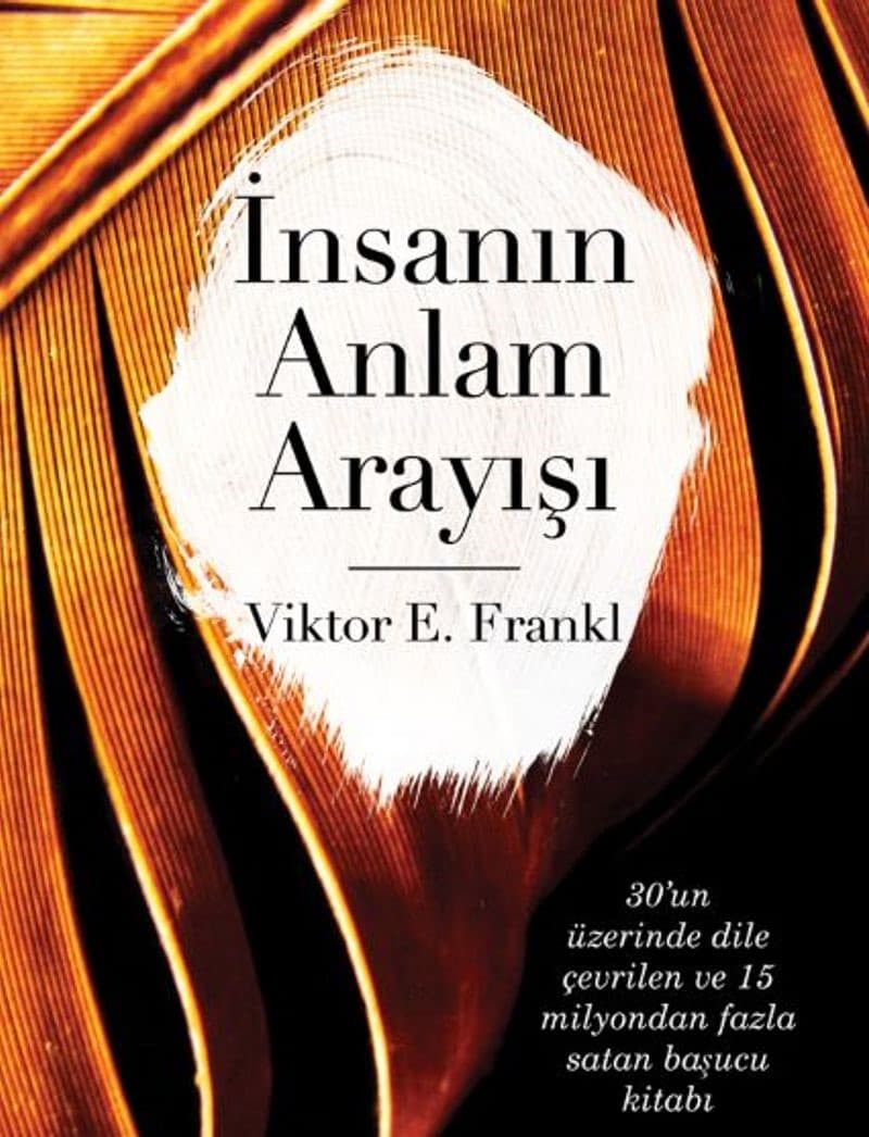 insann anlam arayisi