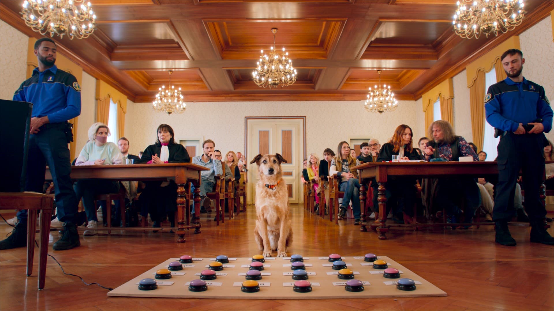 2024 Filmekimi Dog on Trial1