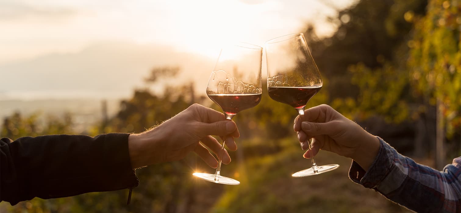 2024 Bağbozumu: Sıcak, Kurak ve Erkenci