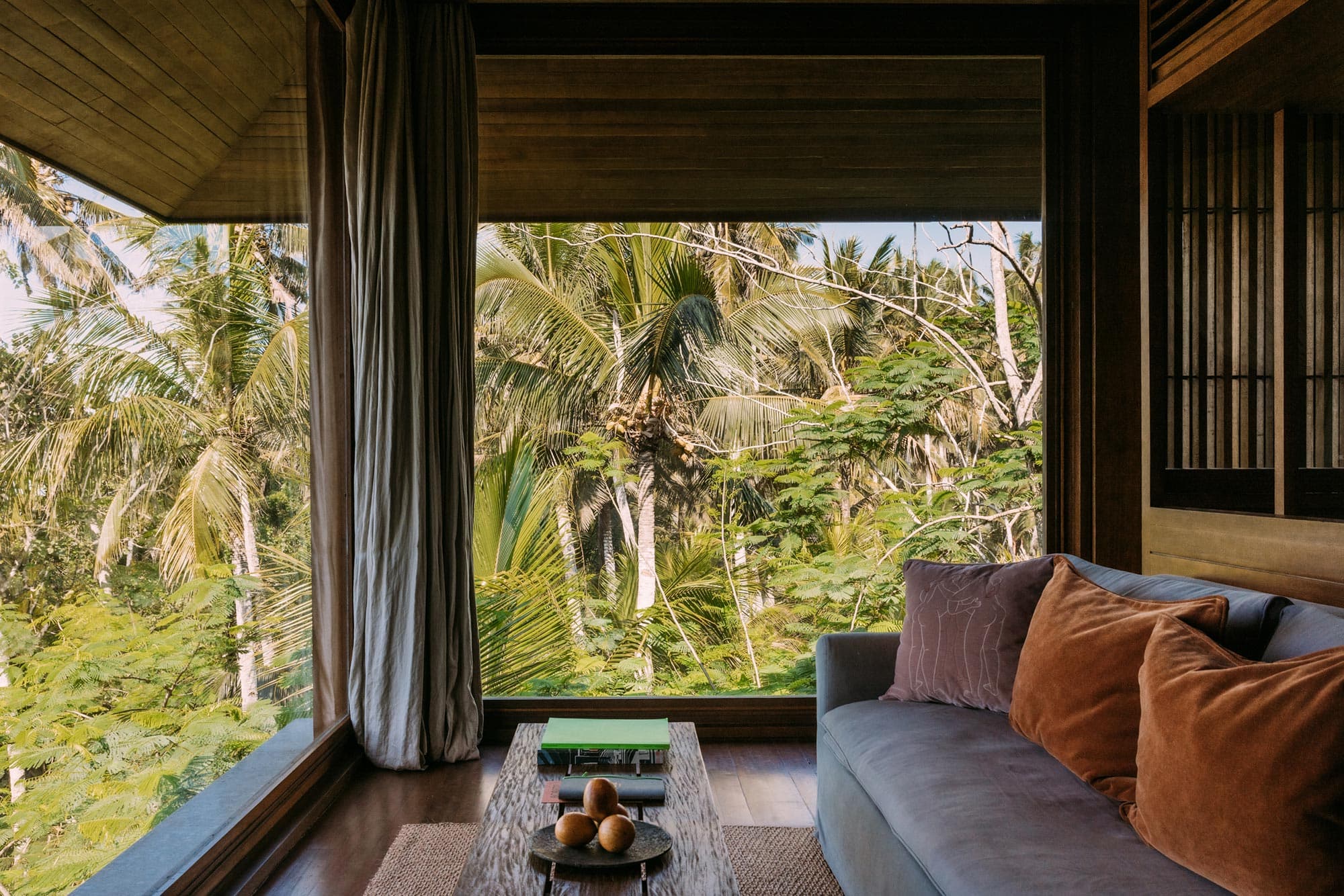 bitki bazli bali Lost1