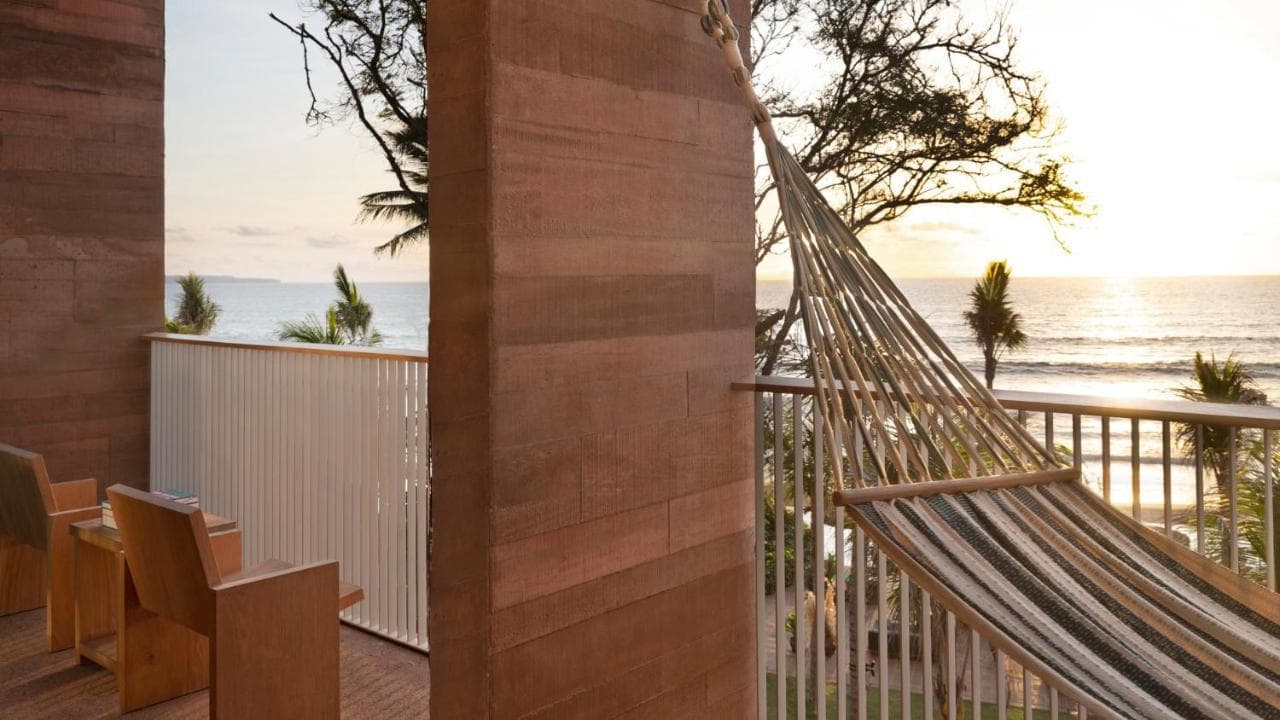 bitki bazli bali Potato