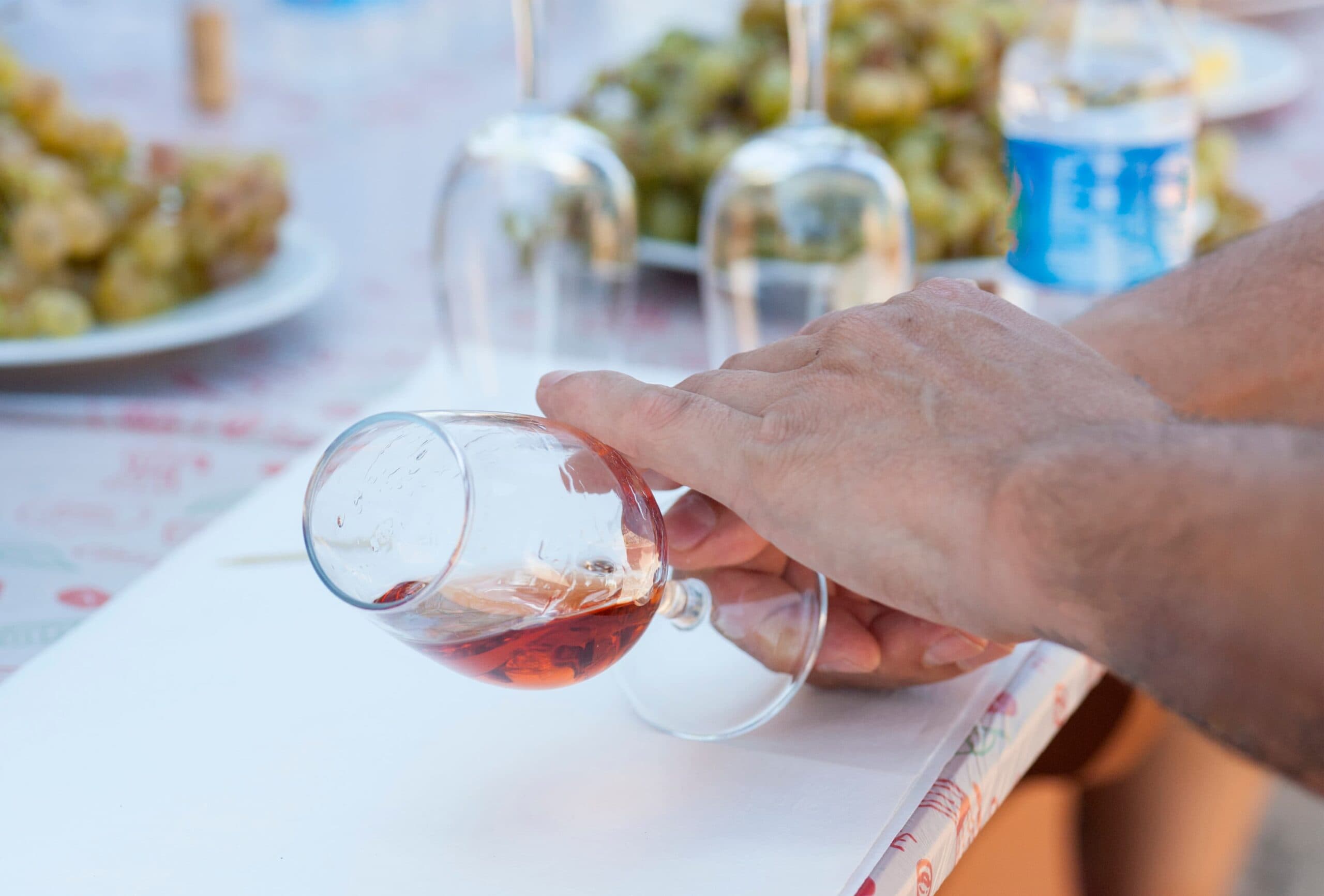 Şarap terimleri sözlüğü