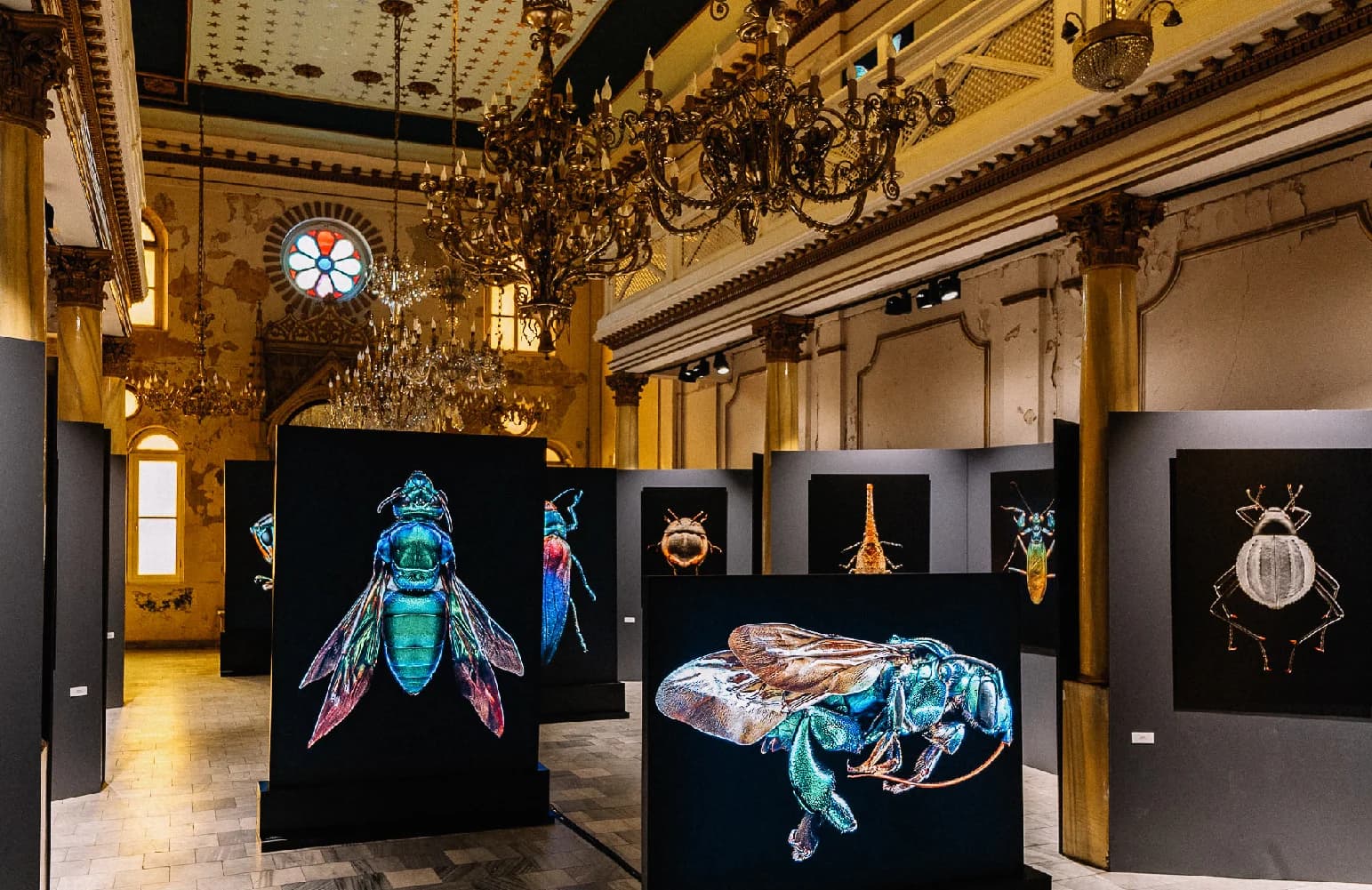 212 photography istanbul