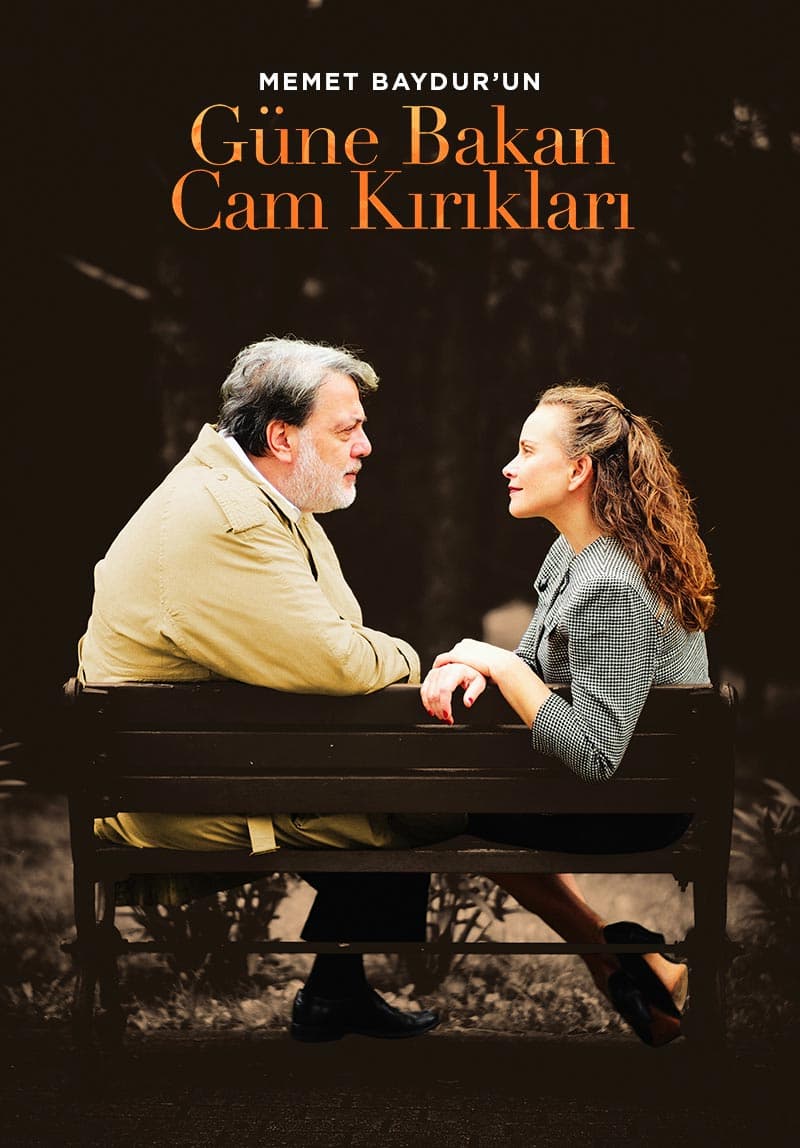 gune bakan cam kiriklari