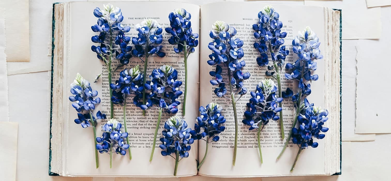 Hayatımızı Değiştiren Kitaplar