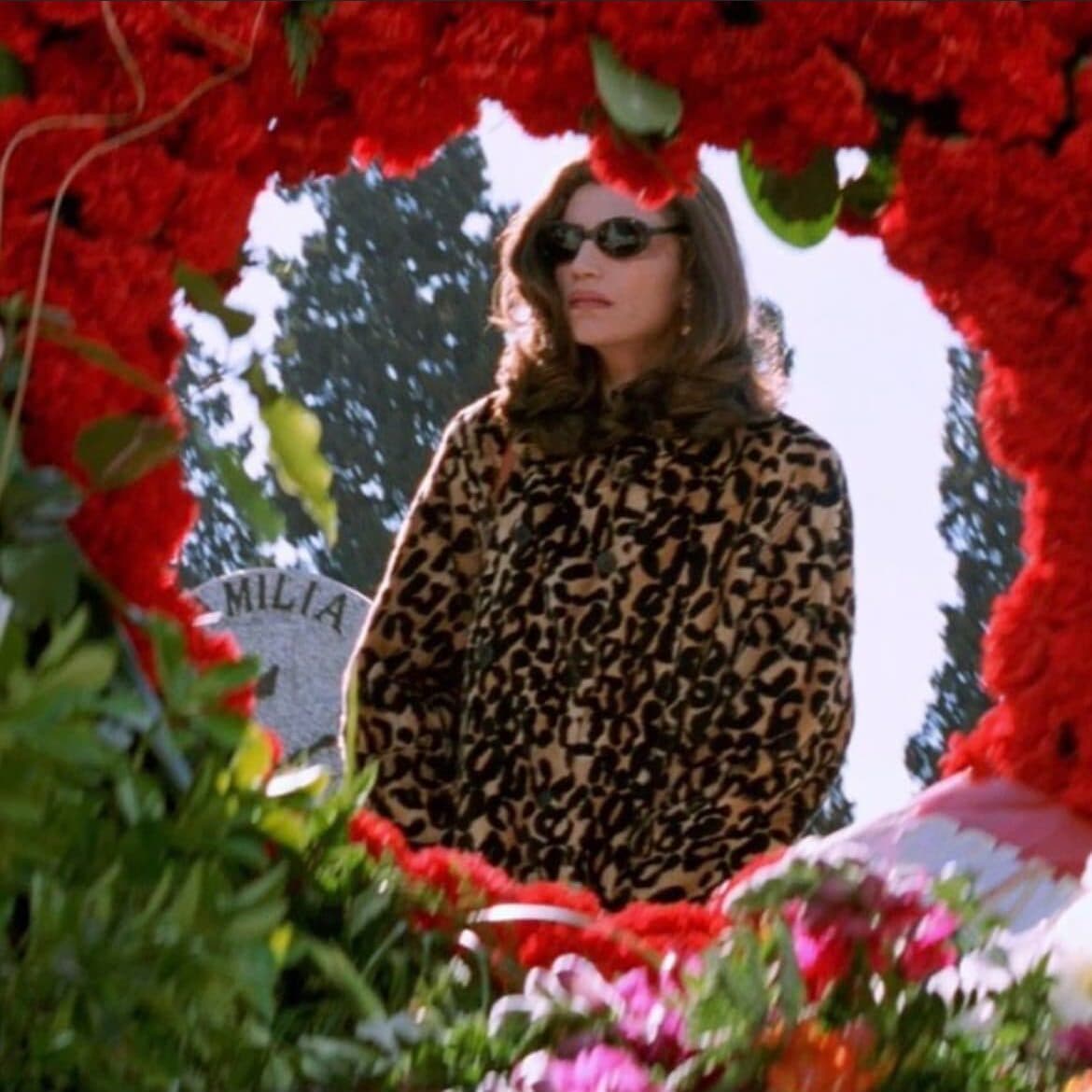 pedro almodovar clara edited