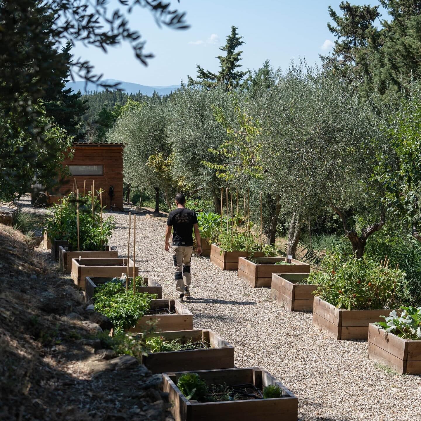 bitki bazli otel mutfaklari villa edited