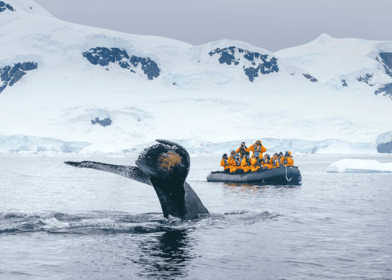 10 extraordinary cruise itineraries