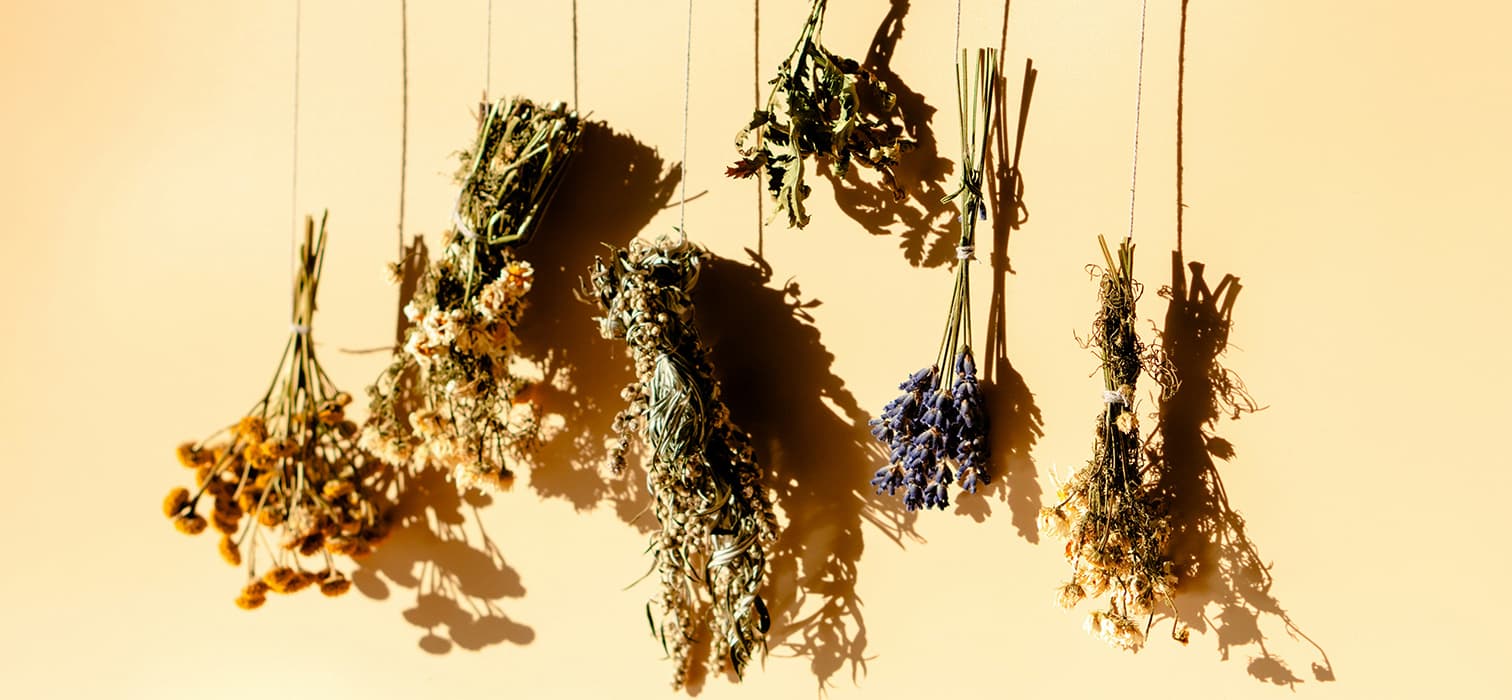 Ritüeller Dünyasında Bir Yolculuk