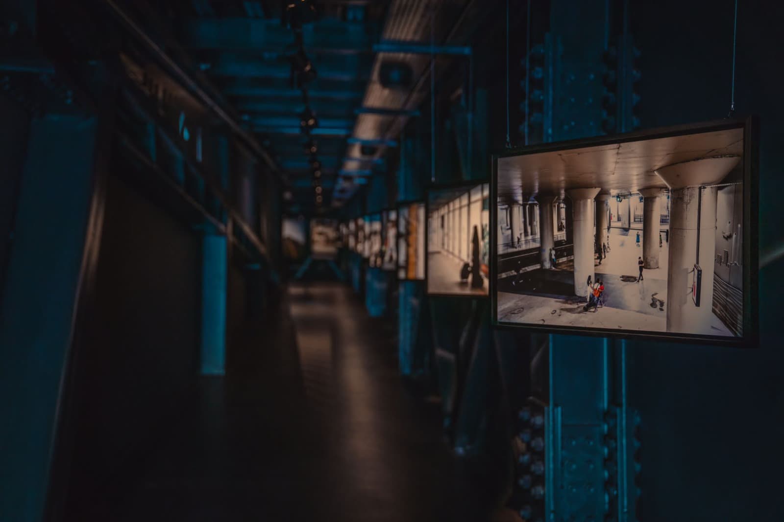 Sergi hayat demirbukuz