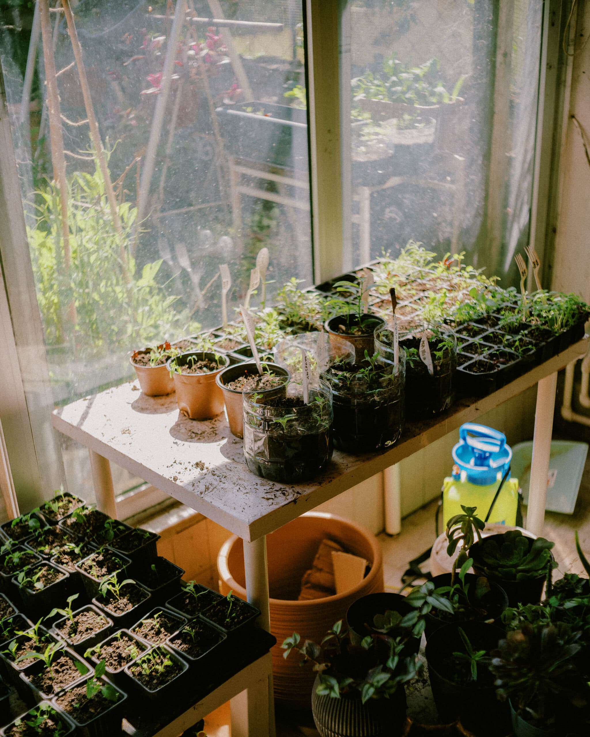 bahcede hayatlar 08 2