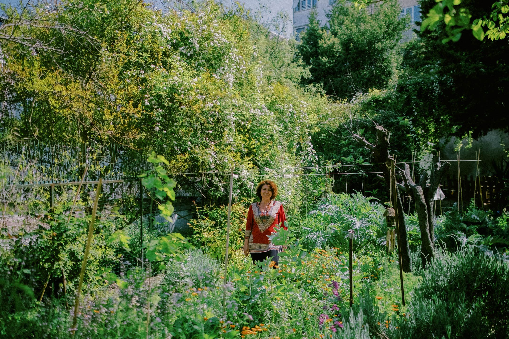 bahcede hayatlar 24 1