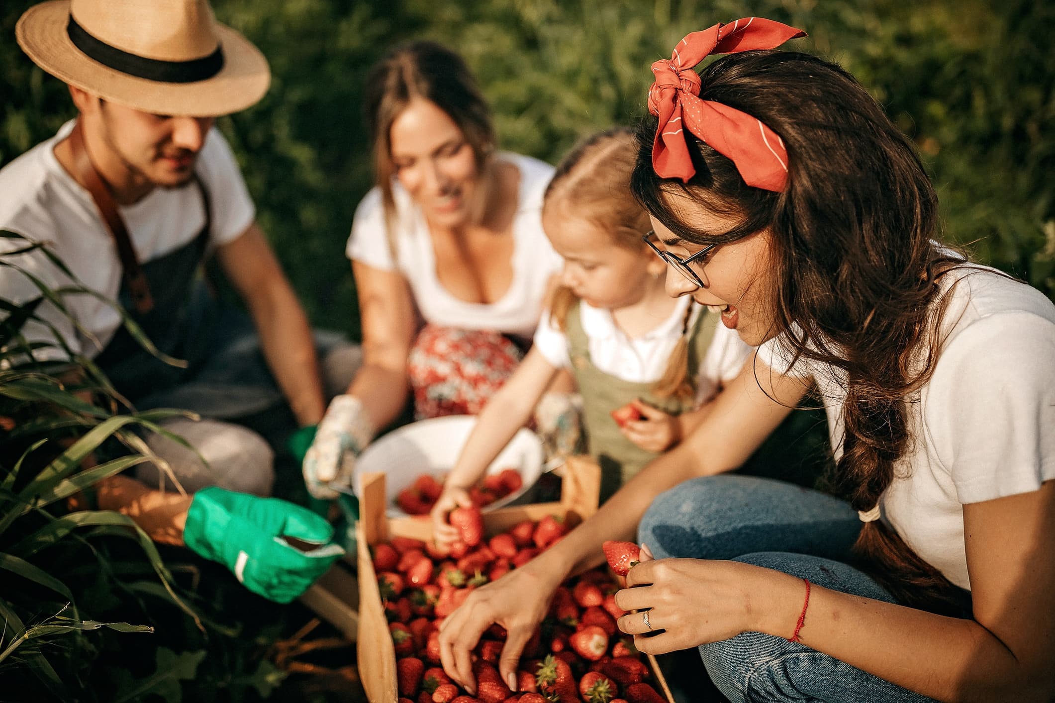 saatolog grungard 03 1