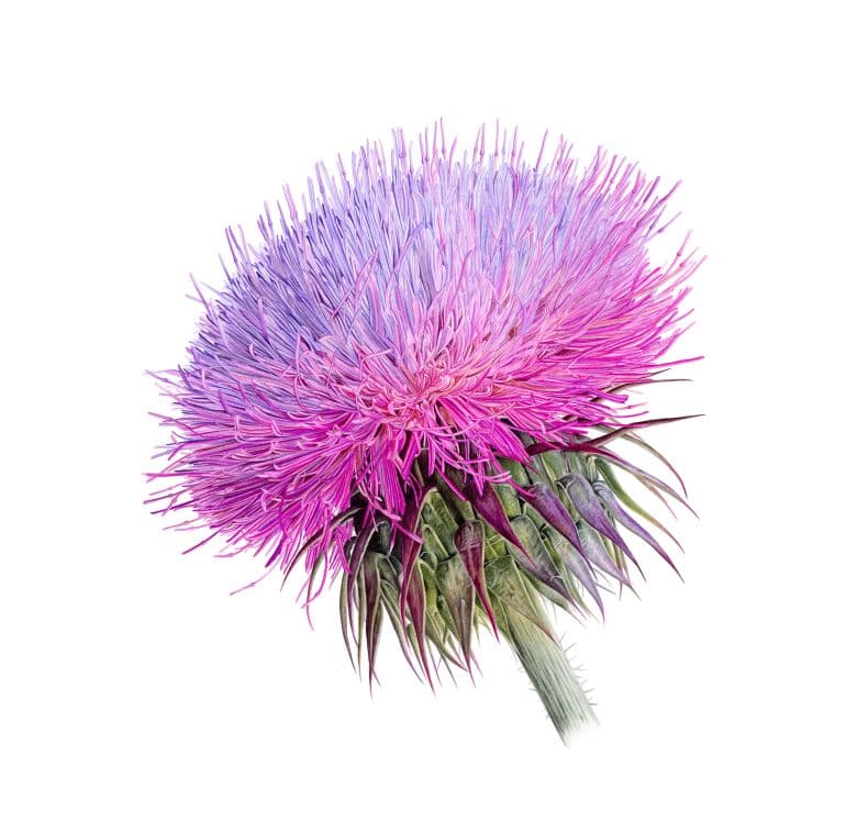 İstanbul Haziran Ayı Etkinlikleri