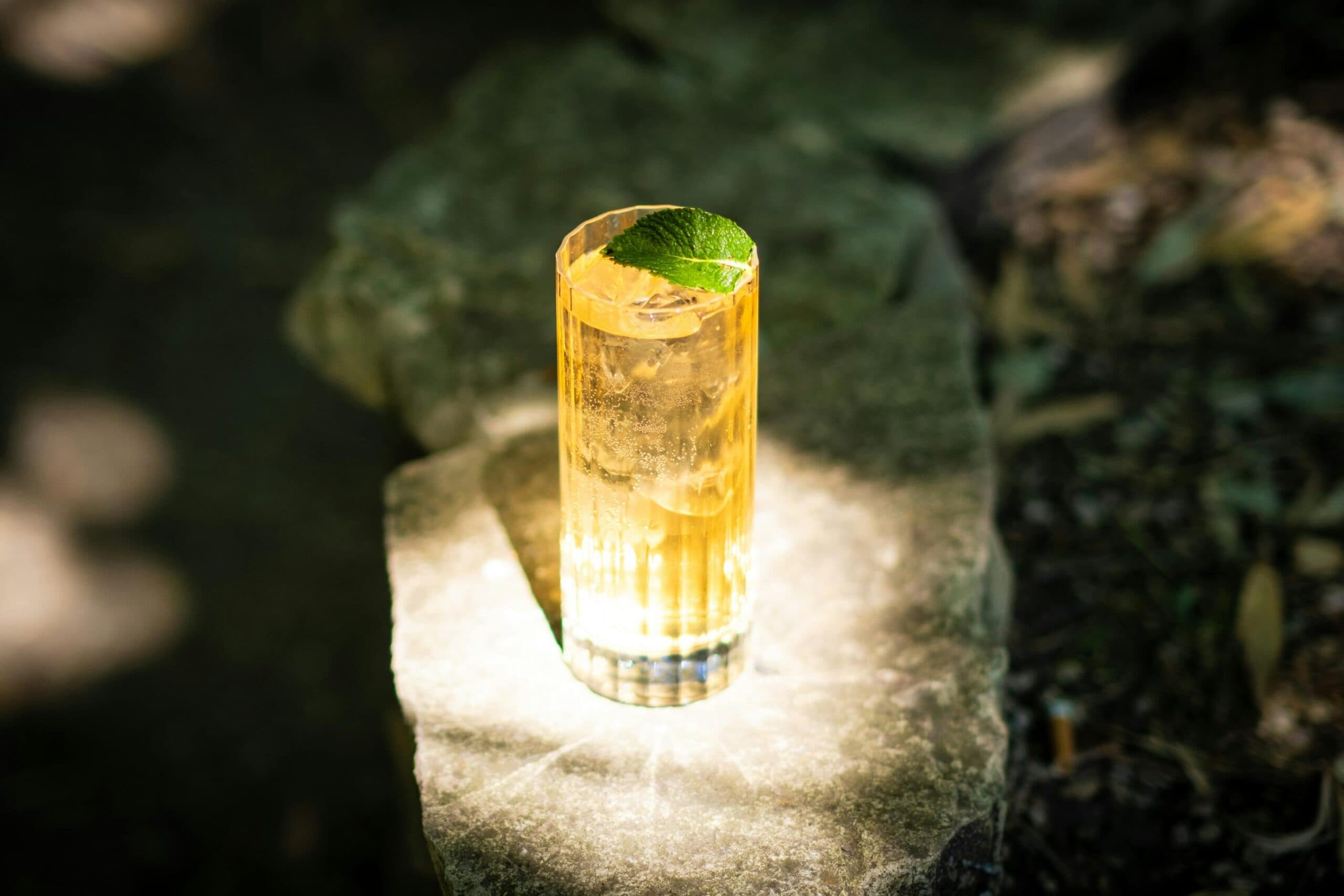 viski bardaklari highball