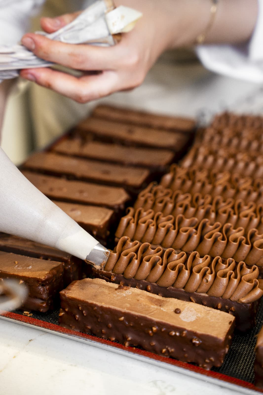 ethique plant based 12