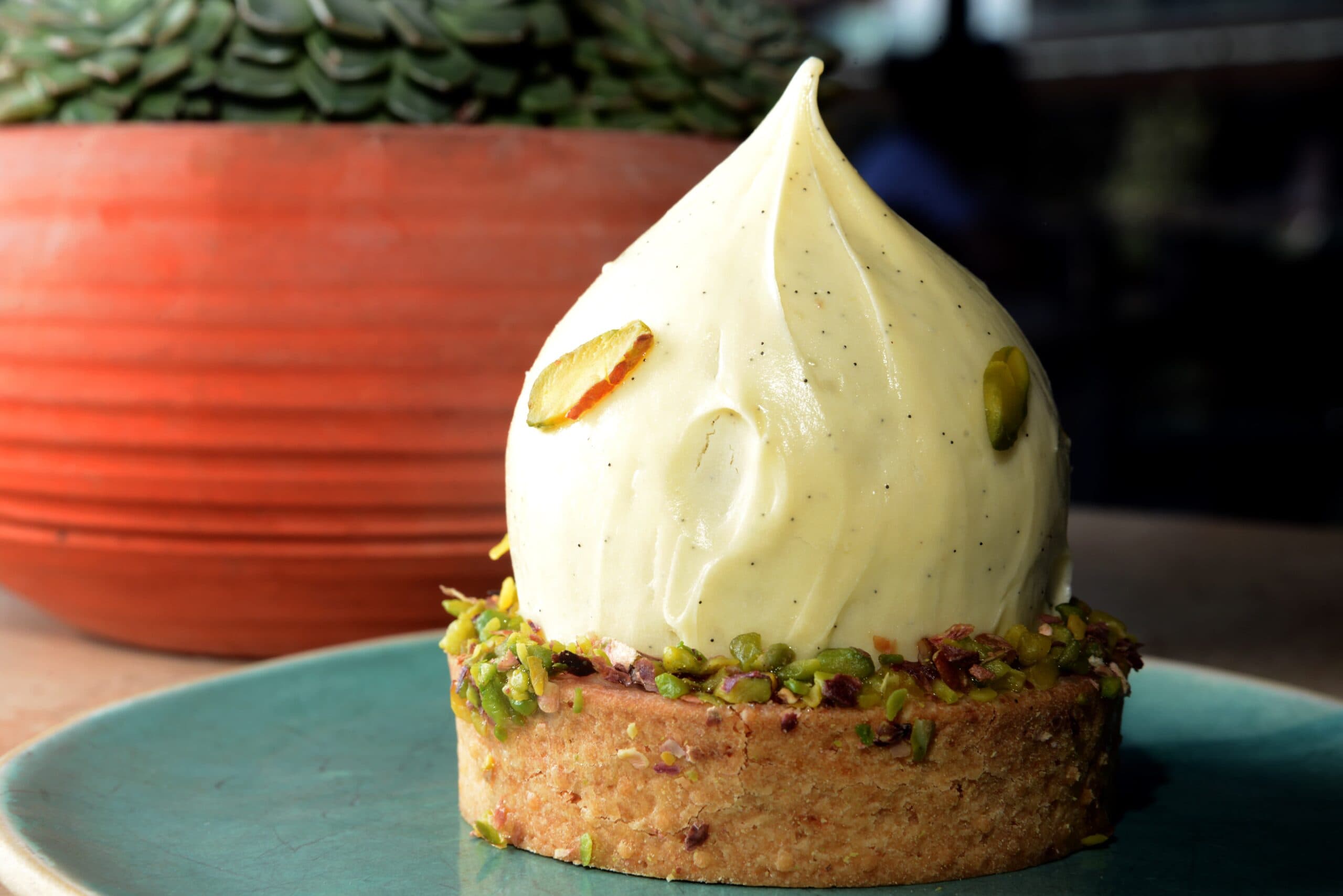 ethique plant based 17