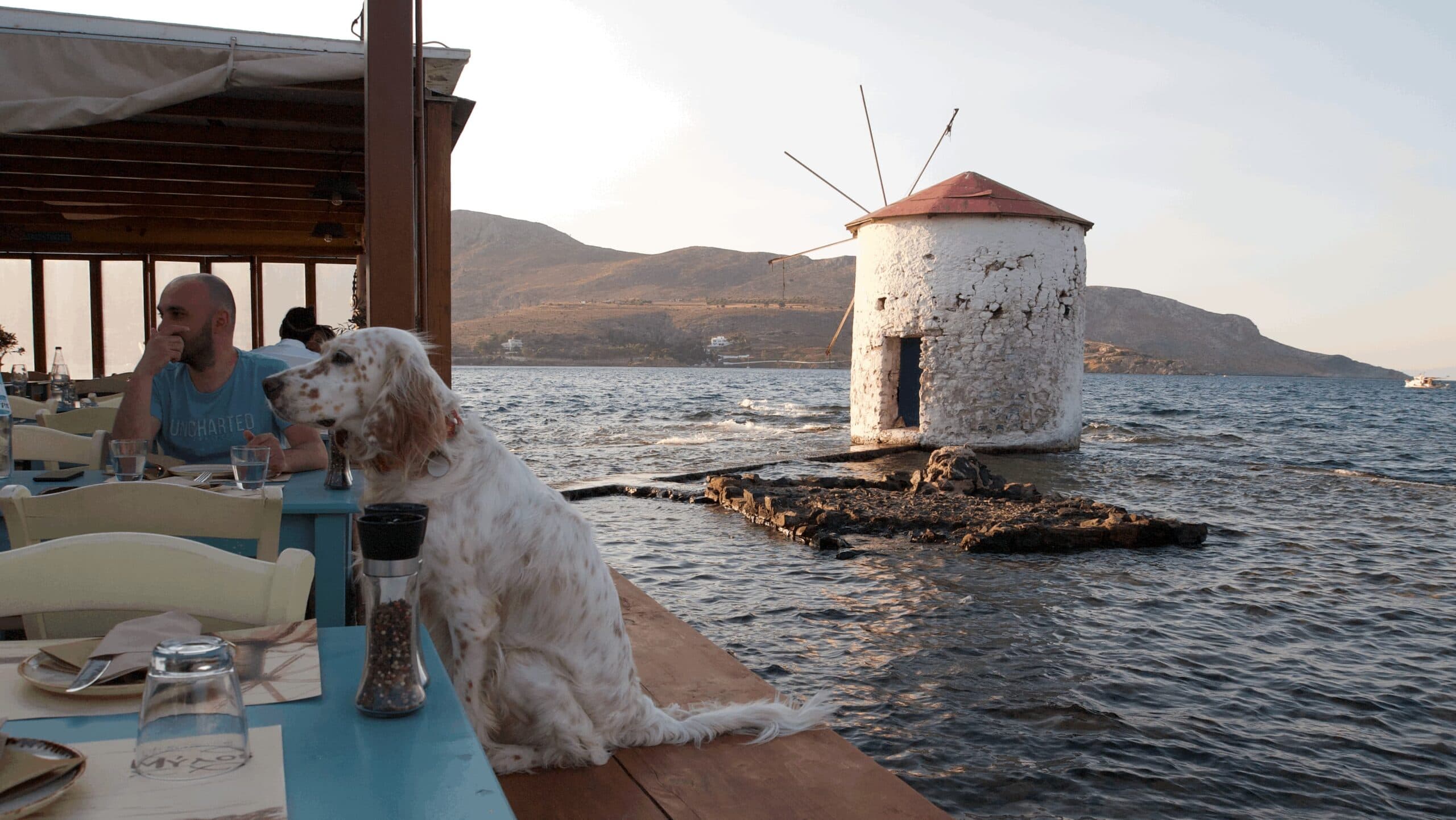 leros seyahat rehberi Mylos