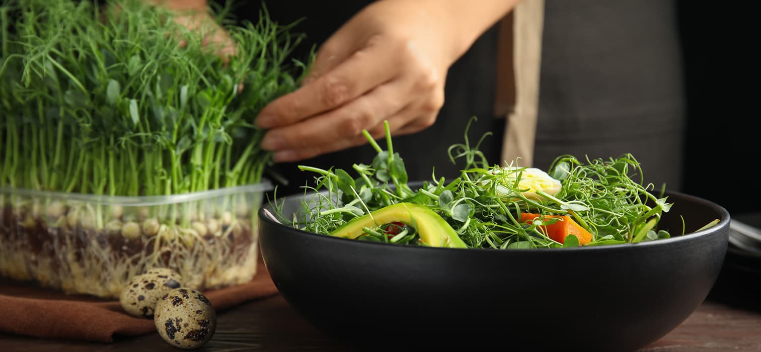 Modern Dünyanın En Çok Konuşulan Diyetleri