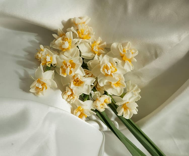 Nergis çiçeği hikayesi