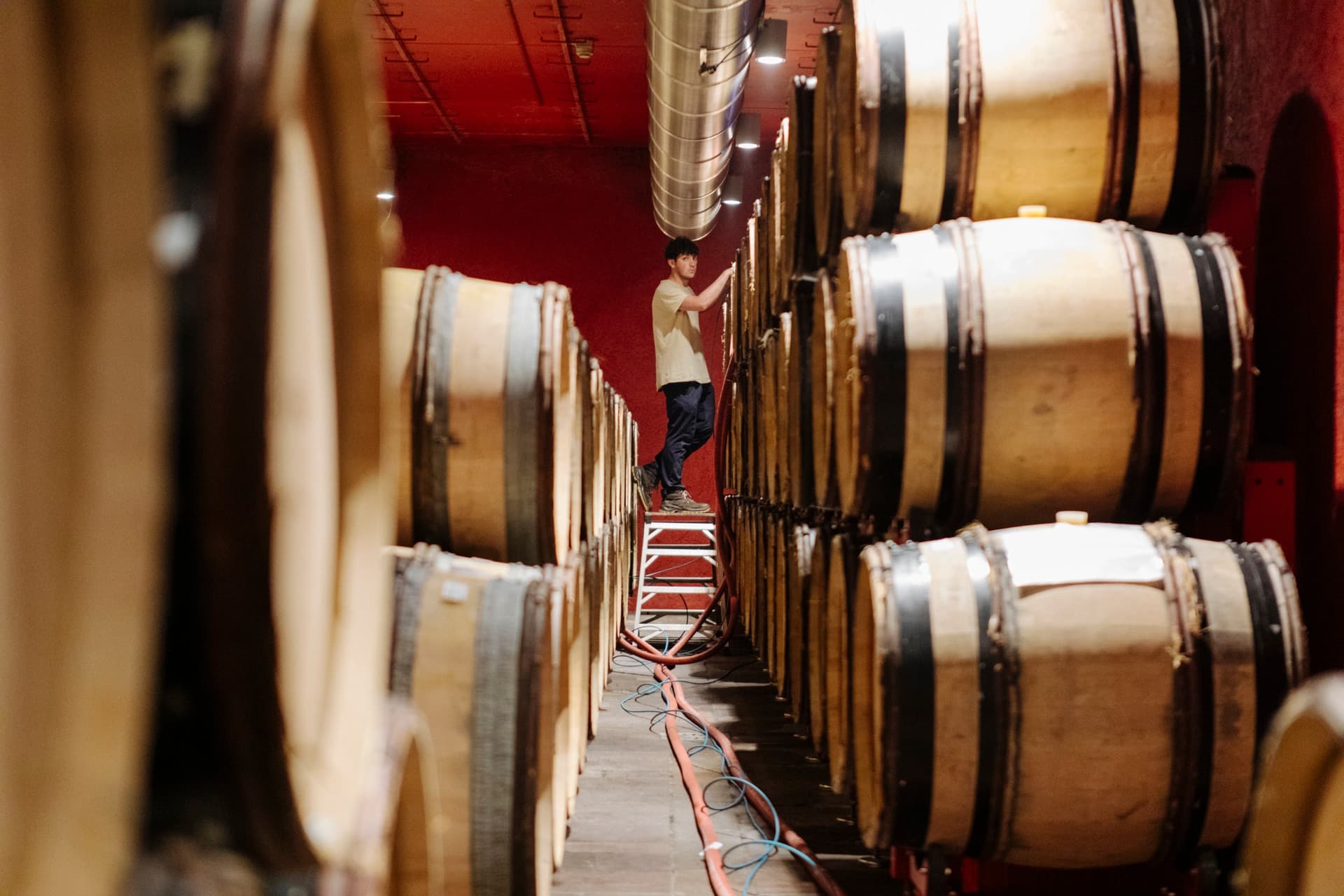 Franciacorta Cadel Bosco 02