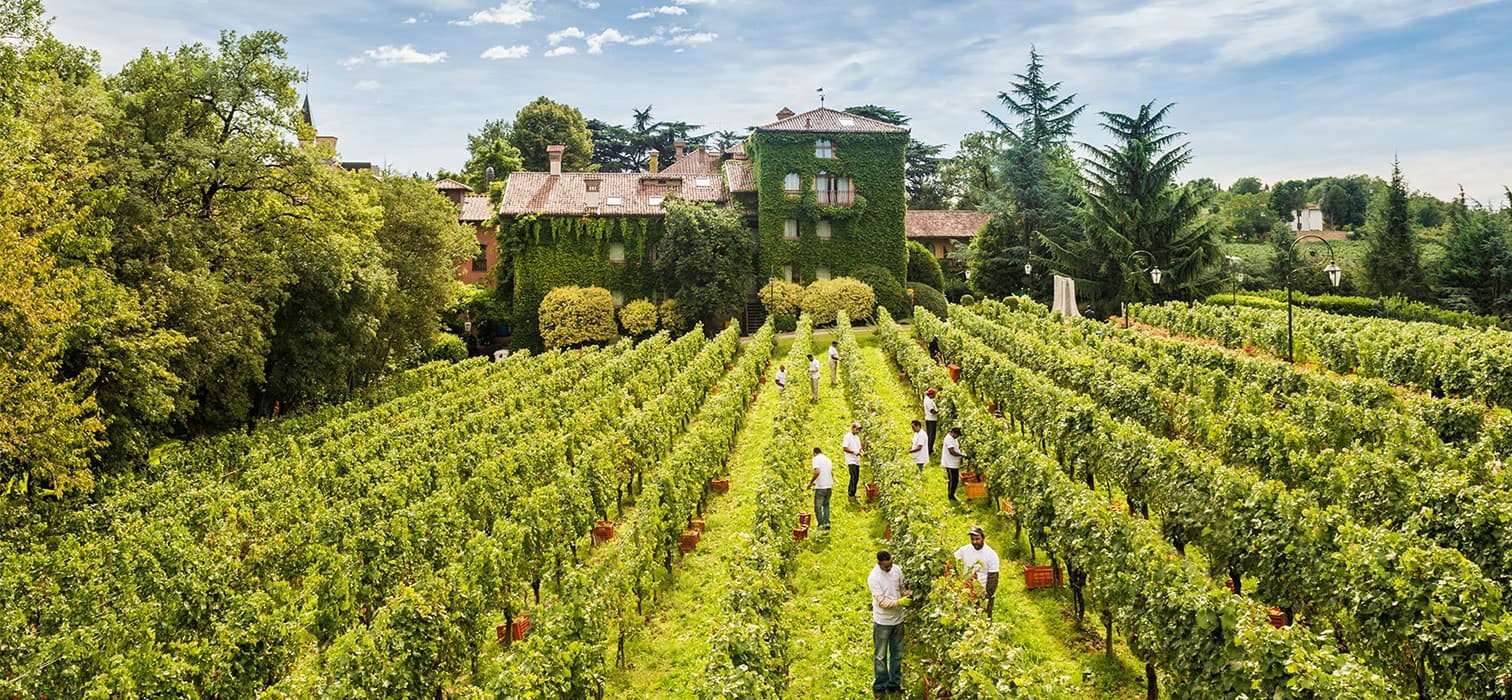 The Most Elegant Form of Sparkling Wine: Franciacorta